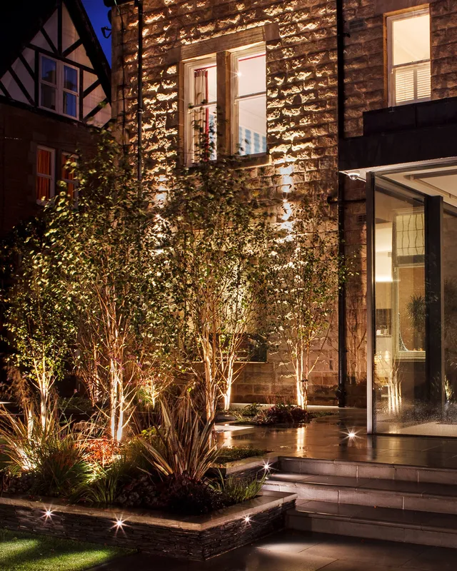 Wall washes and uplighting for Silver Birches in a garden lighting design