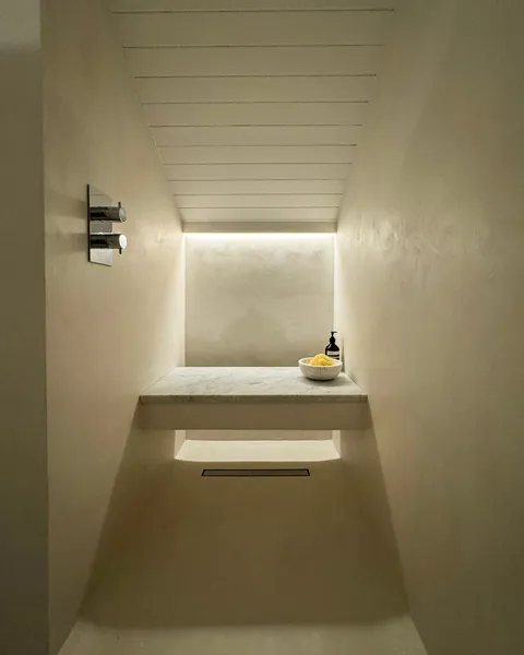 linear lighting detail in a small walk-in shower