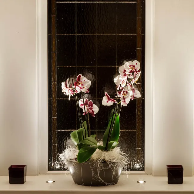 An uplit bowl of lillies in a black and white bathroom