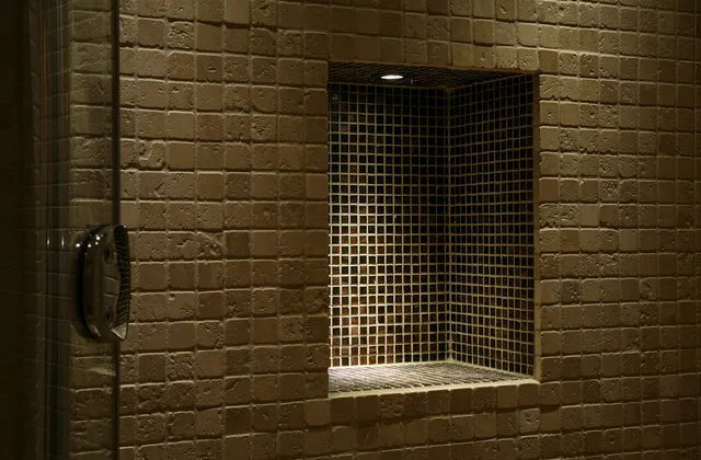 Tiled shower niche lit with a small recessed downlight