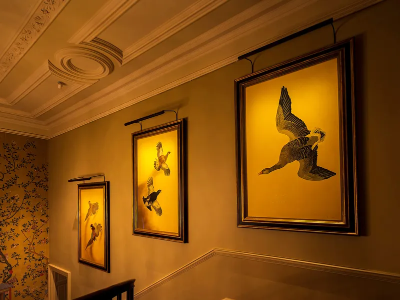 A collection of paintings of game birds on silk lit with ArtView LED picture lights on a large country house staircase