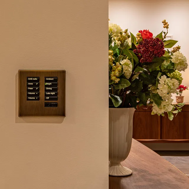 Lutron seeTouch keypad with lighting scenes, audio sources and volume control